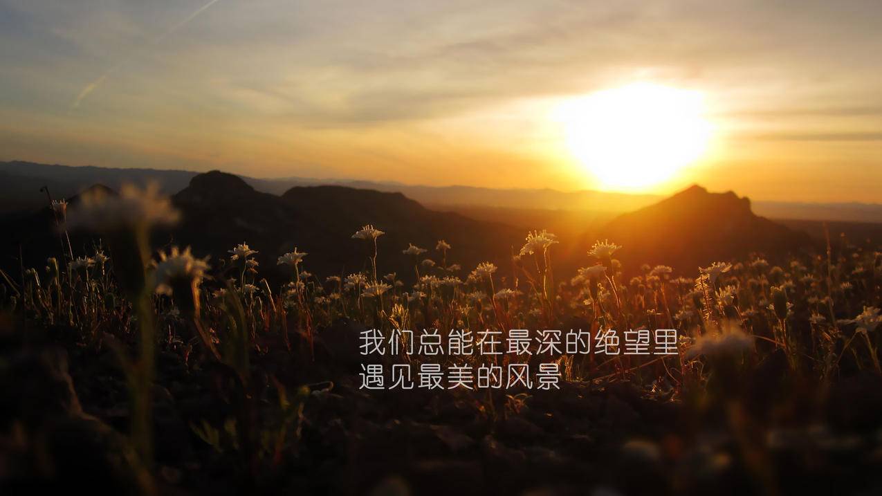 免费引流推广工具,抖音赞自助平台24小时平台服务,快手自定义评论